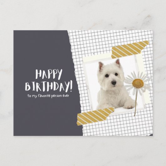 West Highland White Terrier Postkarte (Vorderseite)