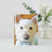 West Highland White Terrier Postkarte (Stehend Vorderseite)