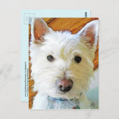 West Highland White Terrier Postkarte (Vorne/Hinten)