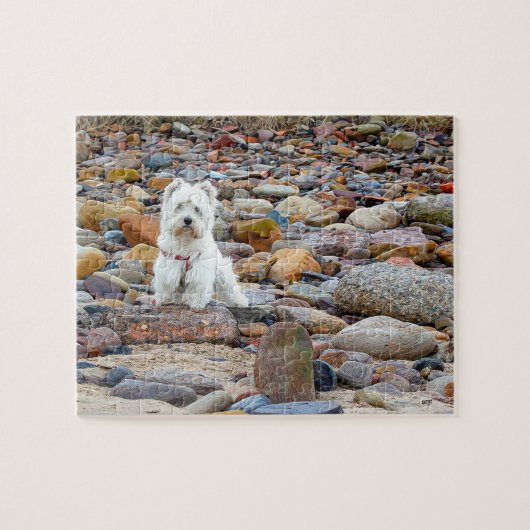 West Highland White Terrier Puzzle (Horizontal)