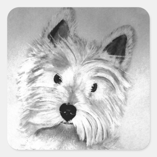 West Highland White Terrier Quadratischer Aufkleber (Vorderseite)