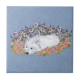 West Highland White Terrier Ruht Fliese