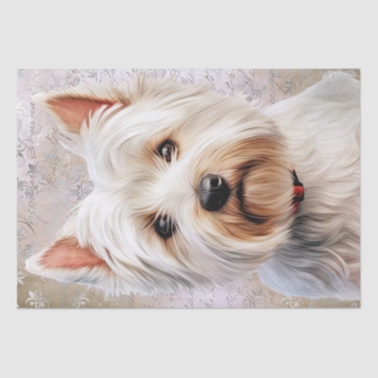 West Highland White Terrier Seidenpapier (Vorderseite)