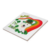 West Highland White Terrier St Pats Fliese (Seite)