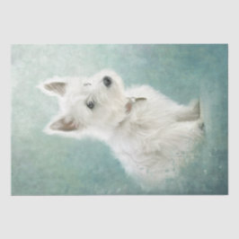 West Highland White Terrier Tissue Paper Seidenpapier