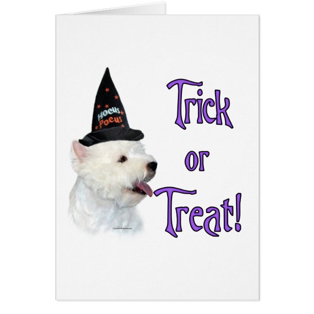 West Highland White Terrier Trick (Vorne)