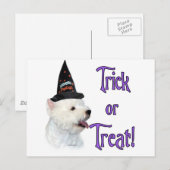 West Highland White Terrier Trick Postkarte (Vorne/Hinten)