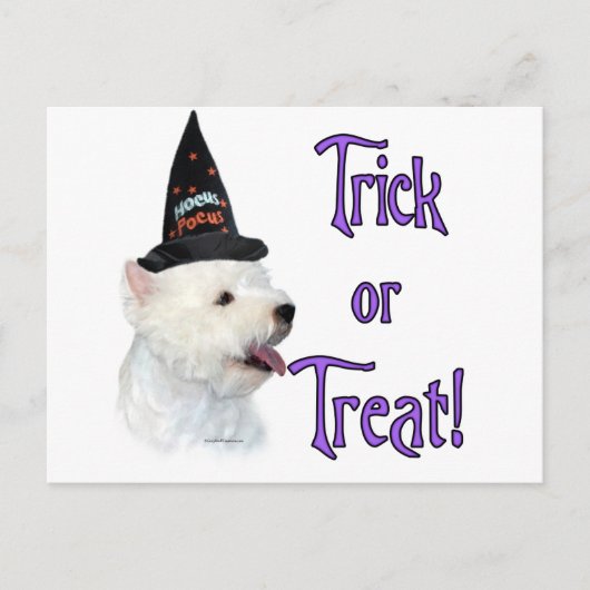 West Highland White Terrier Trick Postkarte (Vorderseite)