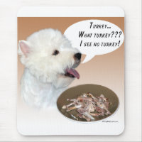 West Highland White Terrier Türkei