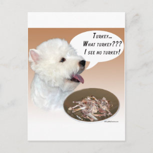 West Highland White Terrier Türkei Postkarte
