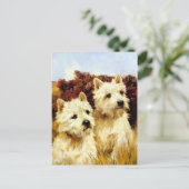 West Highland White Terriers - Wardle Postkarte (Stehend Vorderseite)