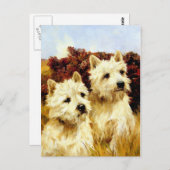 West Highland White Terriers - Wardle Postkarte (Vorne/Hinten)