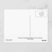 West Highland White Terriers - Wardle Postkarte (Rückseite)