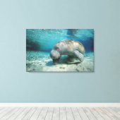 West Indian Manatee Leinwanddruck (Insitu (Holzboden))