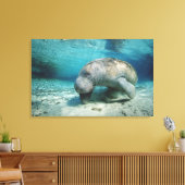 West Indian Manatee Leinwanddruck (Insitu (Wohnzimmer))