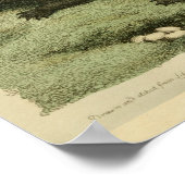 West Indies Crocodile Natural History Print Poster (Ecke)