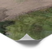 "West Lakeshore Drive" Kelleys Island, Ohio Poster (Ecke)