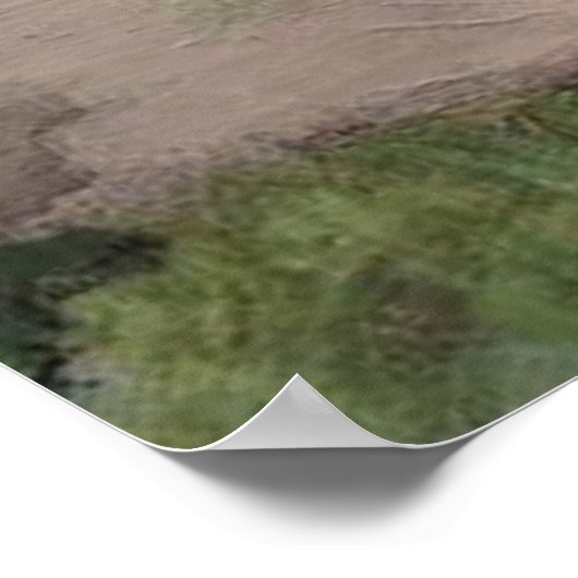 "West Lakeshore Drive" Kelleys Island, Ohio Poster (Ecke)