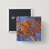 West Mt Herbst Hot Springs Nationalpark Geschenke Button (Vorne & Hinten)