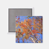 West Mt Herbst Hot Springs Nationalpark Geschenke Magnet (Vorderseite/Rückseite)