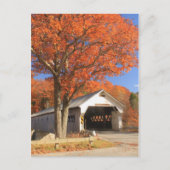 West River Covered Bridge und Oak Vermont Postkarte (Vorderseite)