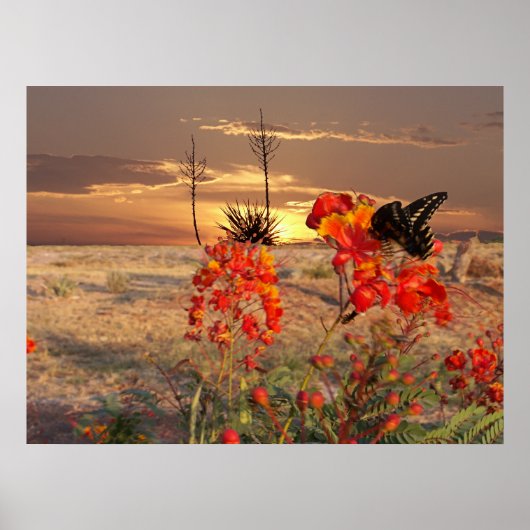 West Texas Sunset Poster (Vorne)