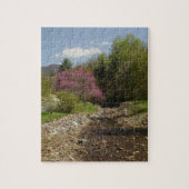 West Virginia Creek Puzzle (Vertikal)
