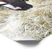 West Virginia Derby Gewinner "Madefromluck" Fotodruck (Ecke)