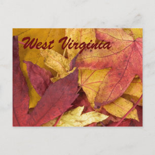 West Virginia Herbstlaub Postkarte