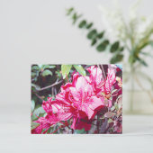 West Virginia Rhododendron Maximal Postkarte (Stehend Vorderseite)