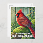 West Virginia Staat Bird Nord Kardinal Postkarte (Vorne/Hinten)
