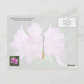 West Virginia Staat Blume: Rhododendron Postkarte (Rückseite)