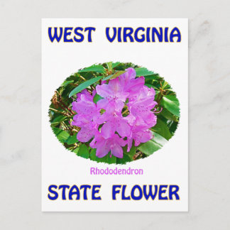 West Virginia Staat Blume T - Shirt & Geschenke Postkarte