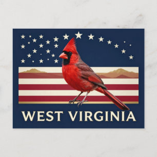 West Virginia State Bird Kardinal Erbe Postkarte