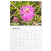 Westaustralische Wildblumen 2027 Kalender (Mär 2027)