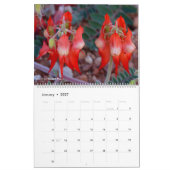 Westaustralische Wildblumen 2027 Kalender (Jan 2027)