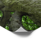Westchester NY Tree Markings Fotografie Poster (Ecke)