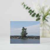 Westcott Bay Postkarte (Stehend Vorderseite)