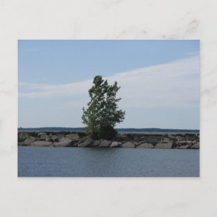 Westcott Bay Postkarte