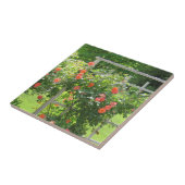 Westerland Coral Rose Tile Fliese (Seite)