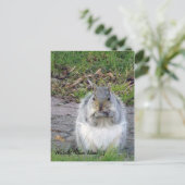 Westerly, Rhode Island Postcard Postkarte (Stehend Vorderseite)