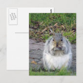 Westerly, Rhode Island Postcard Postkarte (Vorne/Hinten)