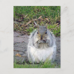 Westerly, Rhode Island Postcard Postkarte