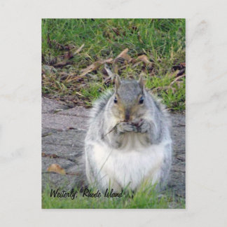 Westerly, Rhode Island Postcard Postkarte