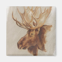 Western American Animal Study | Elche Portrait