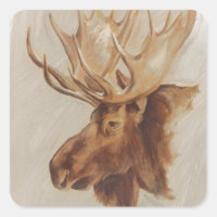 Western American Animal Study | Elche Portrait