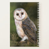 Western-Auslaugungsplaner Planer (Rückseite)