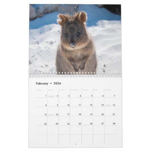 Western Australia Nature Wildlife Highlights Foto Kalender (Feb 2026)