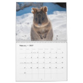 Western Australia Nature Wildlife Highlights Foto Kalender (Feb 2027)