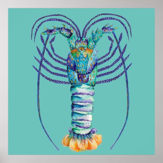 Western Australian Painted Rock Lobster Poster (Vorne)
